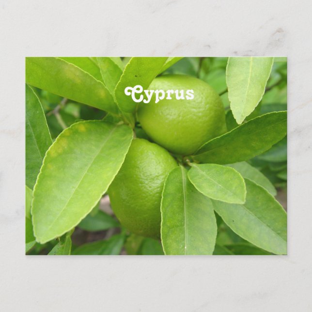 Lemon Tree Postkarte (Vorderseite)