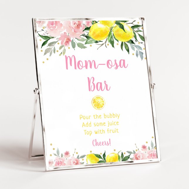 Lemonade Pink Gold Floral Mimosa Bar Baby Dusche Poster (Von Creator hochgeladen)