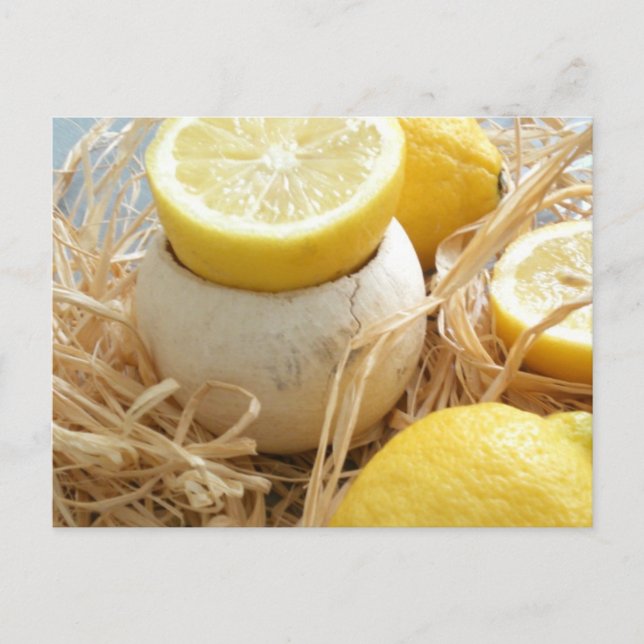 Lemons Postkarte (Vorderseite)
