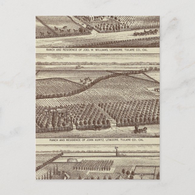 Lemoore, Armona ranches Postkarte (Vorderseite)