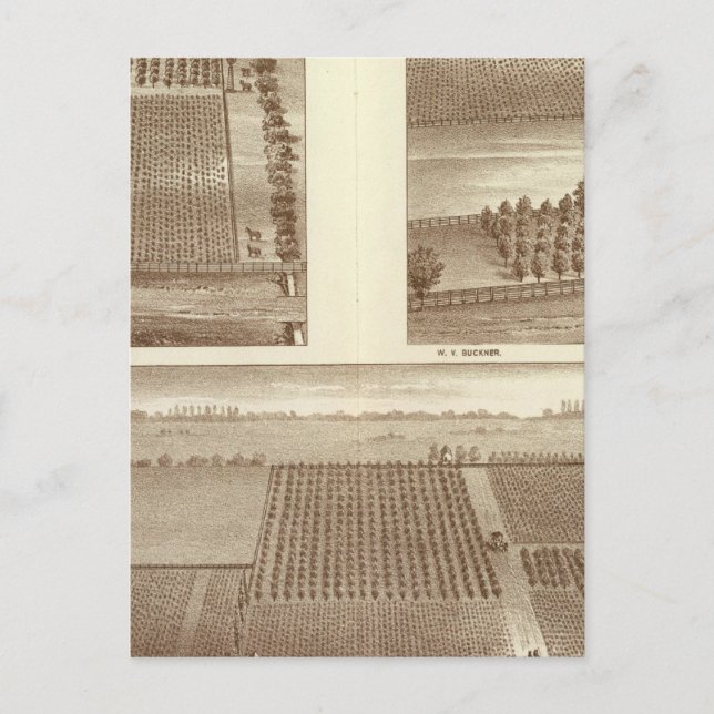 Lemoore Postkarte (Vorderseite)