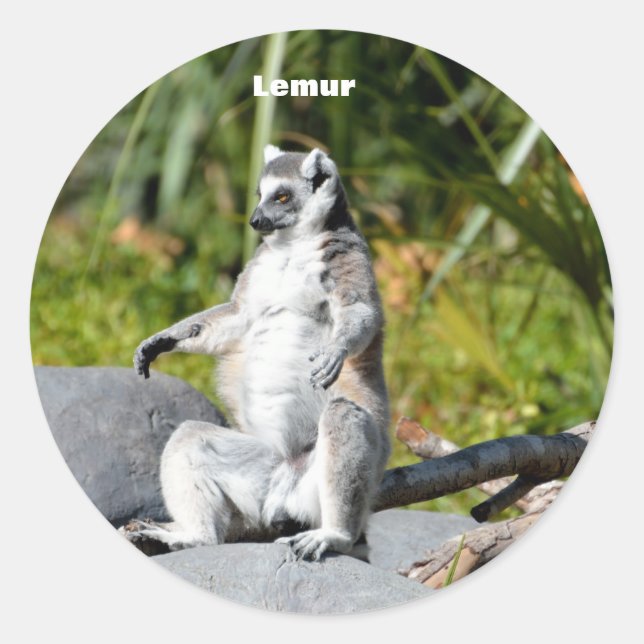 Lemur-Affe Runder Aufkleber (Vorderseite)