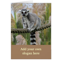 Lemur auf dem Seil-Foto, zum sich besonders