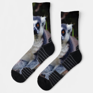 Lemur Crew Socks Socken