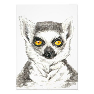 Lemur Fotodruck