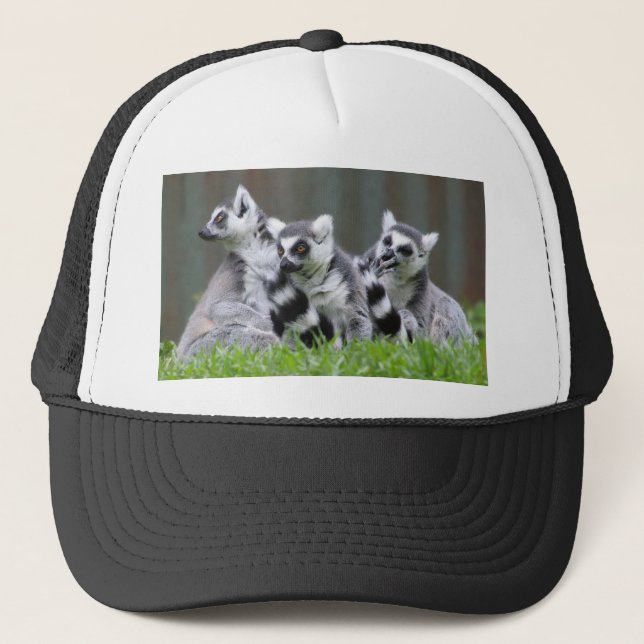 Lemur Geschenke und T-Shirts Truckerkappe (Vorderseite)