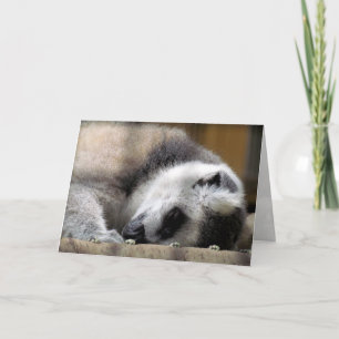 Lemur Grußkarte Karte