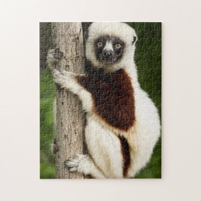 LEMUR JIGSAW PUZZLE (Vertikal)