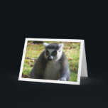 Lemur Karte<br><div class="desc">Ringseillemur Grußkarte. Sie können dieses Produkt ganz einfach kostenlos anpassen,  wenn Sie Text hinzufügen oder die Farbe des Hintergrunds ändern möchten.</div>