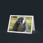 Lemur Karte<br><div class="desc">Ringseillemur Grußkarte. Sie können dieses Produkt ganz einfach kostenlos anpassen, wenn Sie Text hinzufügen oder die Farbe des Hintergrunds ändern möchten.</div>