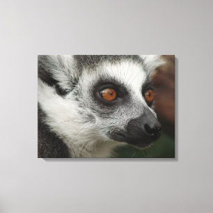 Lemur Leinwanddruck