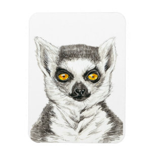 Lemur Magnet