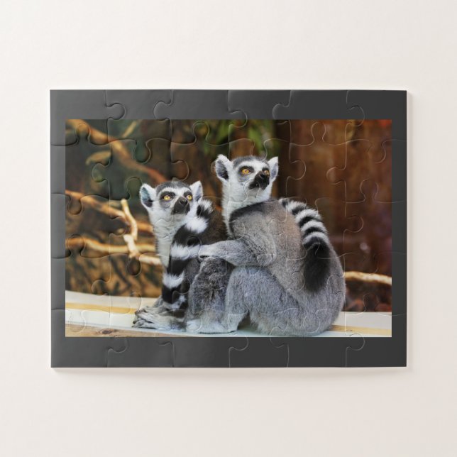 Lemur Pair Puzzle (Horizontal)