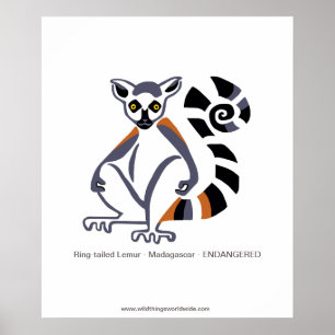 Lemur - Plakat