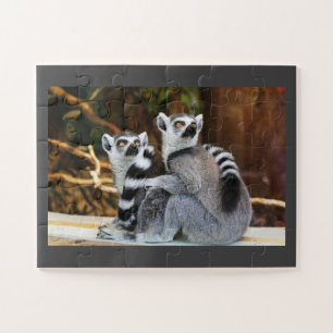 Lemur Puzzle
