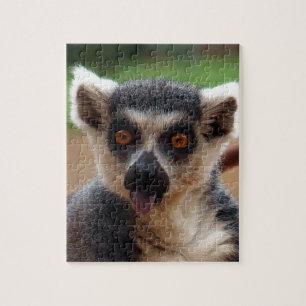 Lemur Puzzle