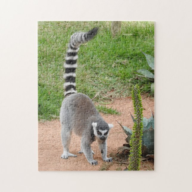 Lemur-Puzzlespiel Puzzle (Vertikal)