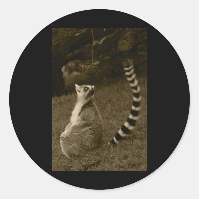 Lemur Schwanz Valencia Tint Vertical Sticker (Vorderseite)