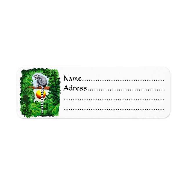 Lemur von Madagaskar (Vorne)