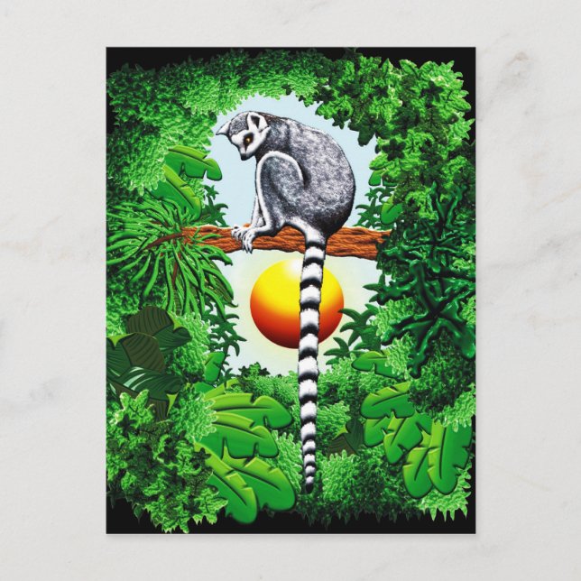 Lemur von Madagaskar Postkarte (Vorderseite)