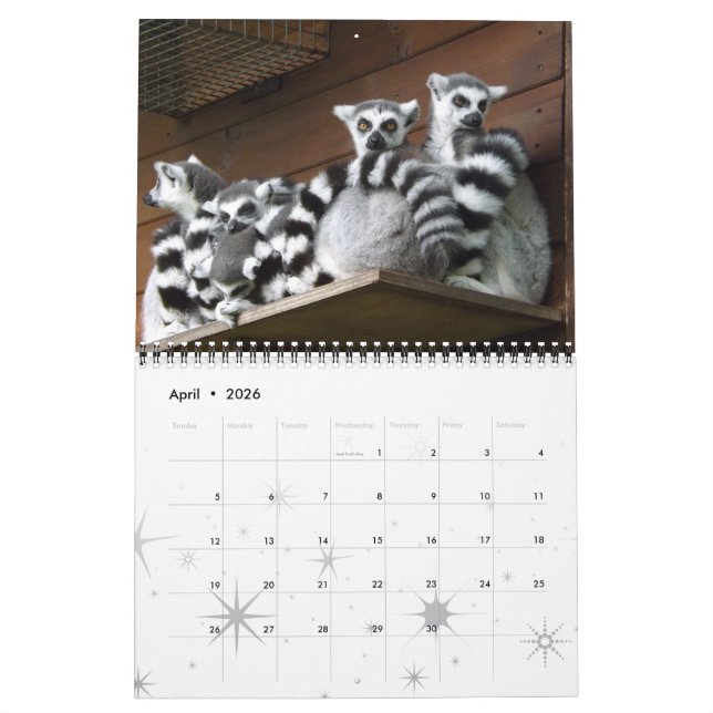 Lemur Wild Primat Welcome Zuhause Destiny Destiny' Kalender (Apr 2026)
