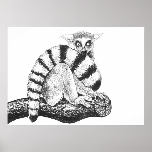 Lemur zeichnend poster (Vorne)
