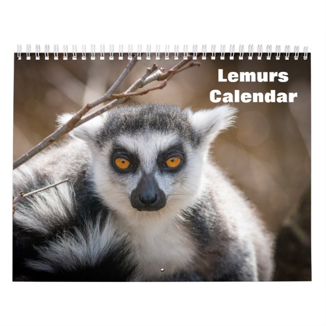 Lemuren 2025 kalender (Titelbild)
