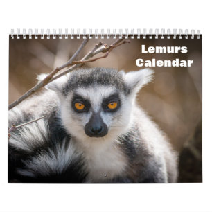 Lemuren 2027 kalender