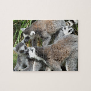 Lemurs Jigsaw Puzzle
