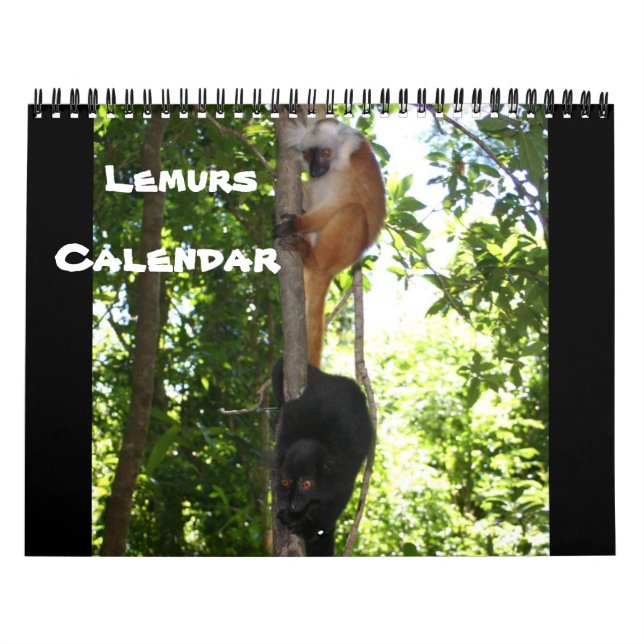 LEMURS KALENDER (Titelbild)