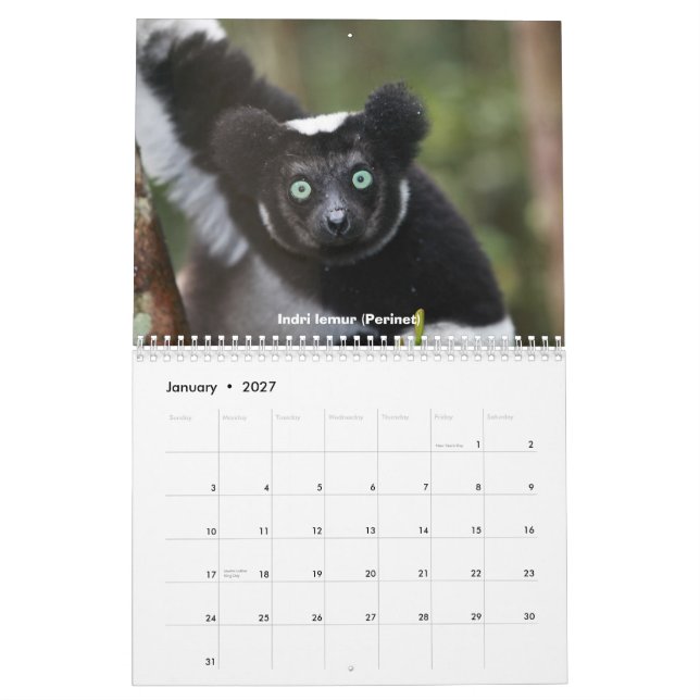 Lemurs von Madagaskar-Kalender Kalender (Jan 2027)