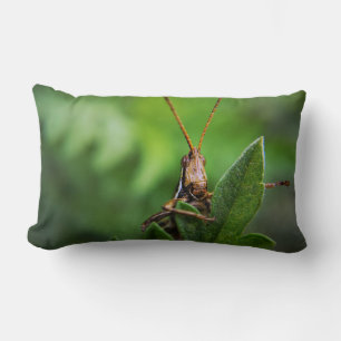 Lendenkissen 33 cm x 53 cm