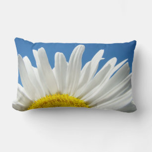 Lendenkissen Blau Himmel Weiße Margeriten Blumen
