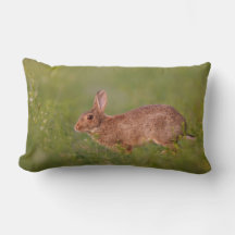 Lendenkissen mit Kaninchen auf Wiese