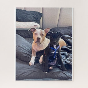 Lenguaje-Tier Puzzle