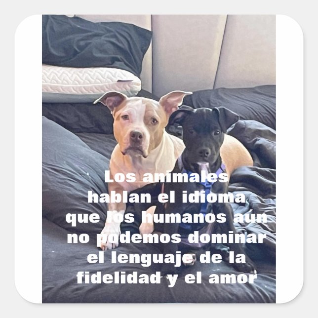 Lenguaje-Tier Quadratischer Aufkleber (Vorderseite)