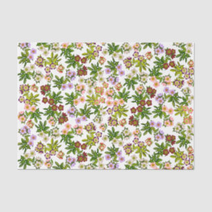Lenten Rose Hellebore Bluetissue Paper Seidenpapier