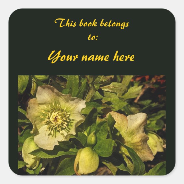 Lenten Rose Hellebore Buchzeichen Sticker (Vorderseite)