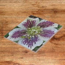 Lenten Rose Hellebore Keramik Tile