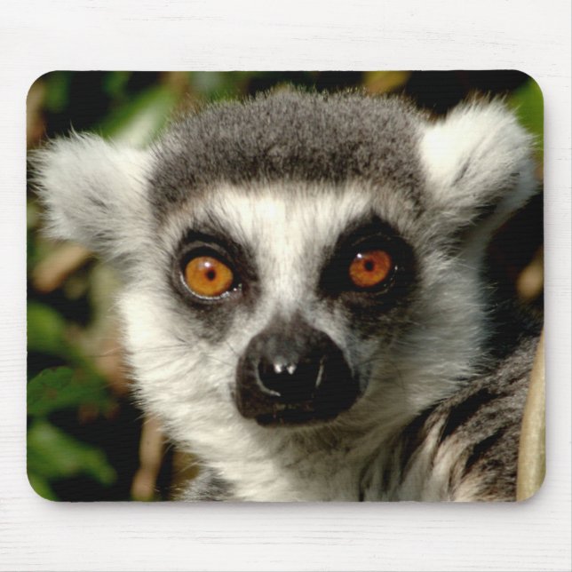 Lenur Mousepad (Vorne)