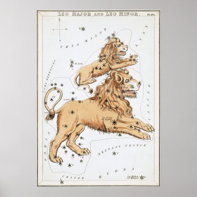 Leo Astrologisch Zeichnend Poster (Vorne)