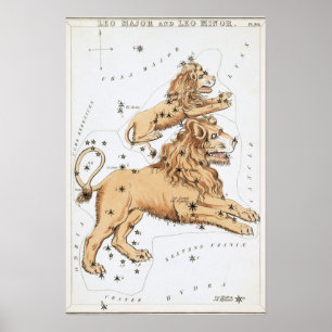 Leo Astrologisch Zeichnend Poster