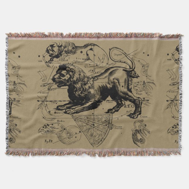 Leo Constellation Hevelius 1690 Juli 23 August 22 Decke (Vorderseite)
