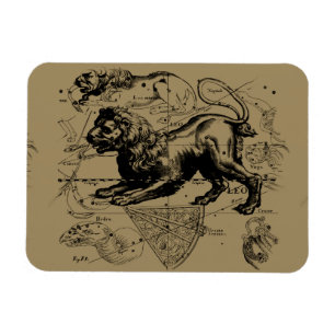 Leo Constellation Hevelius 1690 Juli 23 August 22 Magnet