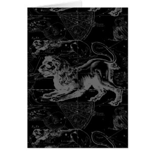 Leo Constellation Hevelius Dekor 1690