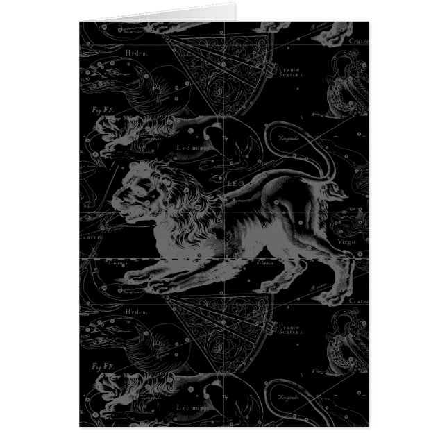 Leo Constellation Hevelius Dekor 1690 (Vorne)