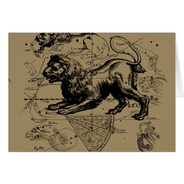 Leo Constellation Map Hevelius circa 1690 (Vorderseite (Horizontal))