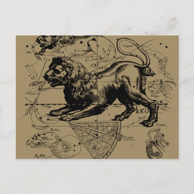 Leo Constellation Map Hevelius circa 1690 Postkarte (Vorderseite)