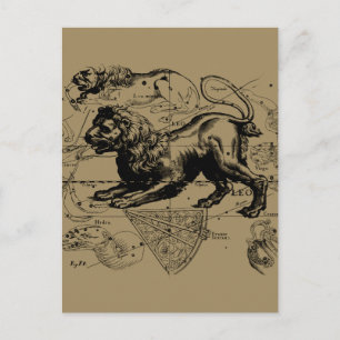 Leo Constellation Map Hevelius circa 1690 Postkarte