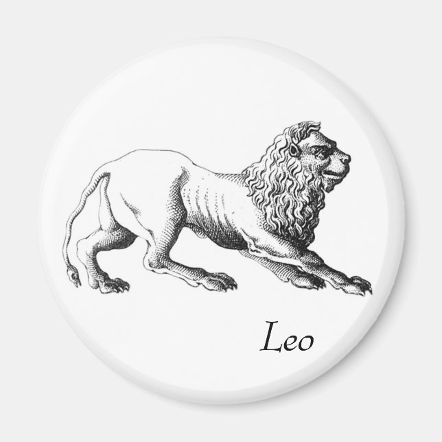 Leo Magnet (Vorne)